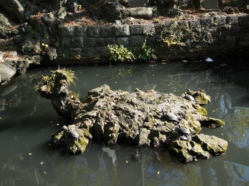 卍 나리타산 가와고에 별원(나리타산 가와고에 베쓰인 혼교인) 이미지 6